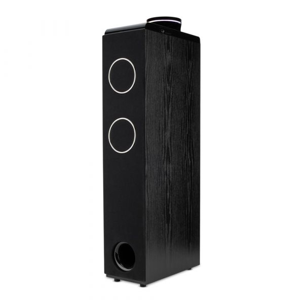 Акустическая система Eltronic 30-49 HOME SOUND с микрофоном