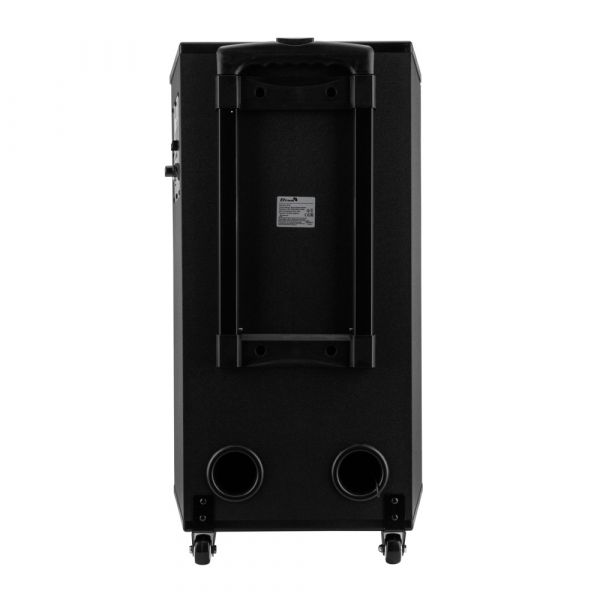 Колонка Eltronic 30-83 SKILLETS BOX 1200 120Вт динамик 1шт/12" с 1 микрофоном