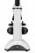 Микроскоп цифровой Levenhuk Discovery Nano Polar с книгой Микроскоп цифровой Levenhuk Discovery Nano Polar с книгой