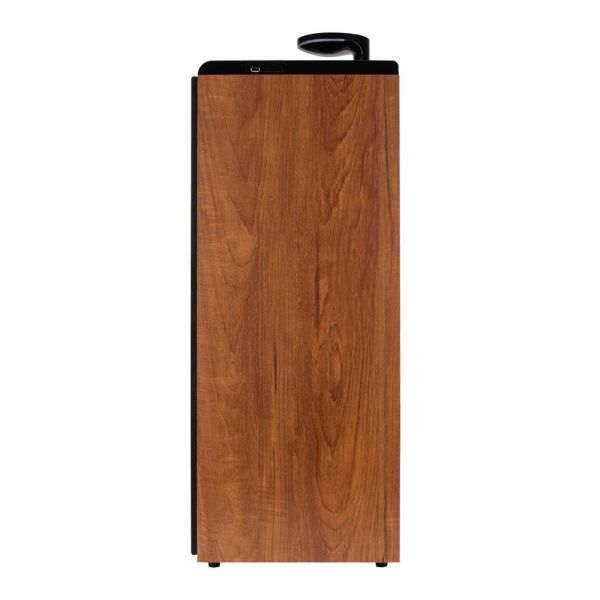 Акустическая система Eltronic 30-49 HOME SOUND с микрофоном