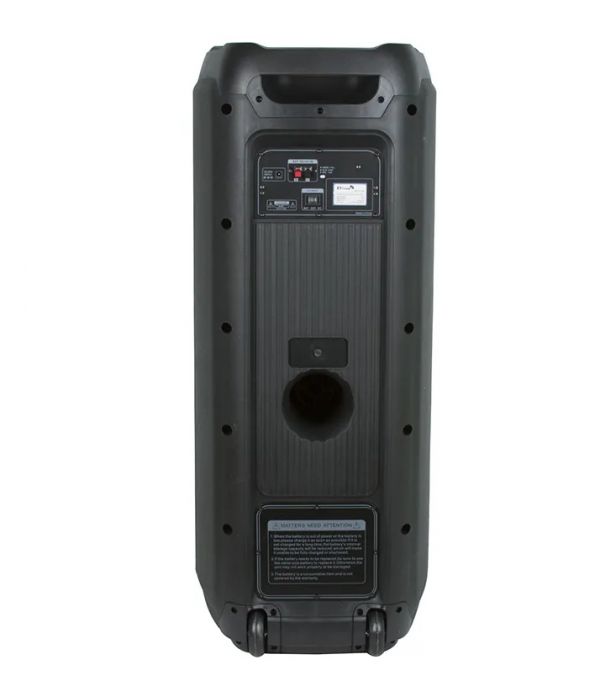 Акустическая система Eltronic 20-18 10" FIRE BOX 100 с беспроводным микрофоном