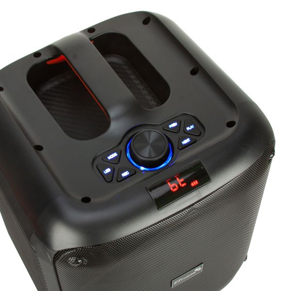 Портативная Bluetooth колонка Eltronic 30-10 Dance Box 300