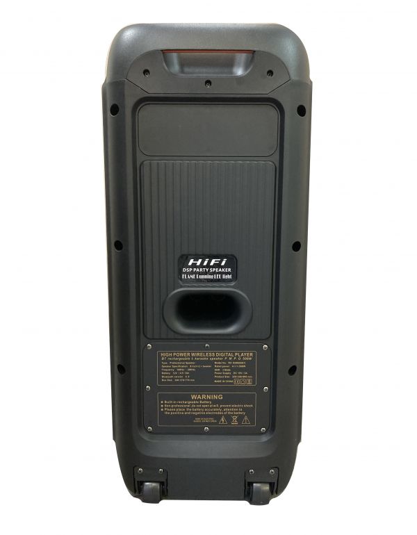 Акустическая система DSP PARTY RX-8280 8" Hi-Fi с микрофоном АКБ/BT/AUX/TF/FM