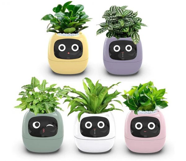 Умный цветочный горшок Ivy Smart с эмоциями (Tuya)