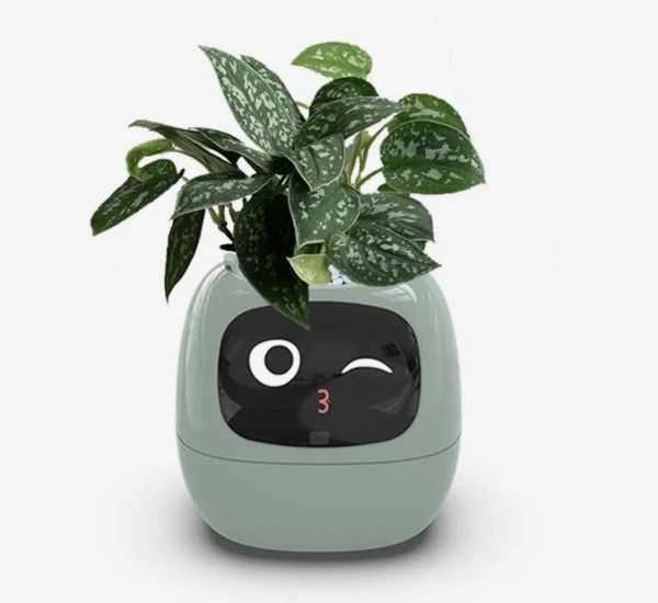 Умный цветочный горшок Ivy Smart с эмоциями (Tuya)