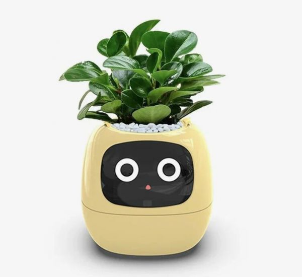 Умный цветочный горшок Ivy Smart с эмоциями (Tuya)
