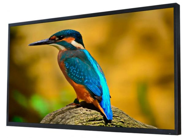 Влагостойкий уличный Smart Ultra HD (4K) LED телевизор AVS550OT 55"