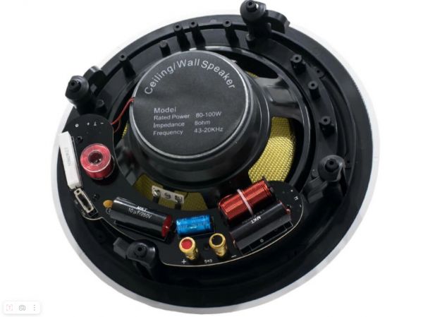 Потолочный двухполосный динамик AV810CS