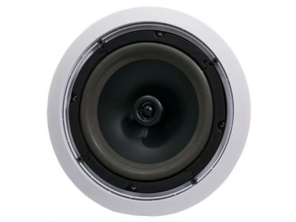 Потолочный двухполосный динамик AV807CS